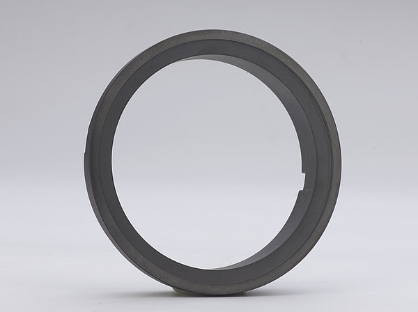 Seal ring for pumps produced out of silicon carbide